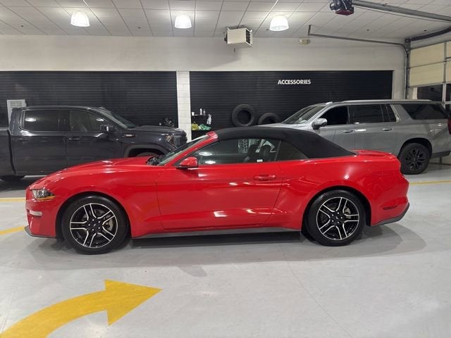 2023 Ford Mustang — detail view